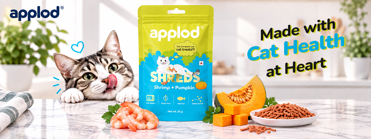 Applod Shrimp with Pumpkin Cat Treat - 35g