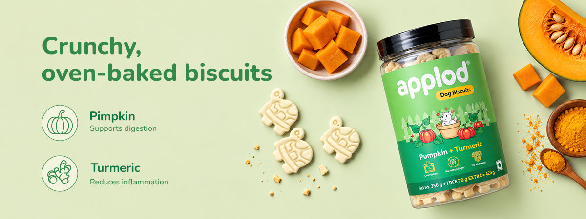 Applod Pumpkin Dog Biscuit with Turmeric