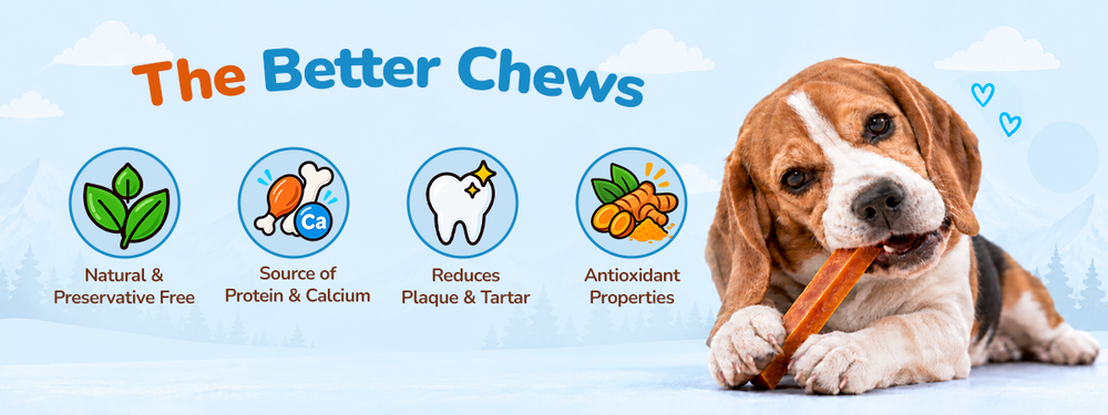 Applod Yak & Roll Turmeric Himalayan Cheese Long-Lasting Dog Chew