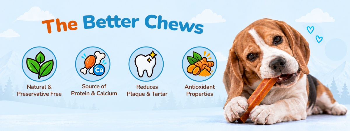 Applod Yak & Roll Turmeric Himalayan Cheese Long-Lasting Dog Chew