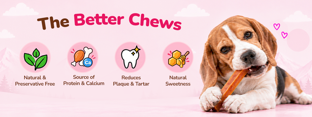 Applod Yak & Roll Honey Himalayan Cheese Long-Lasting Dog Chew