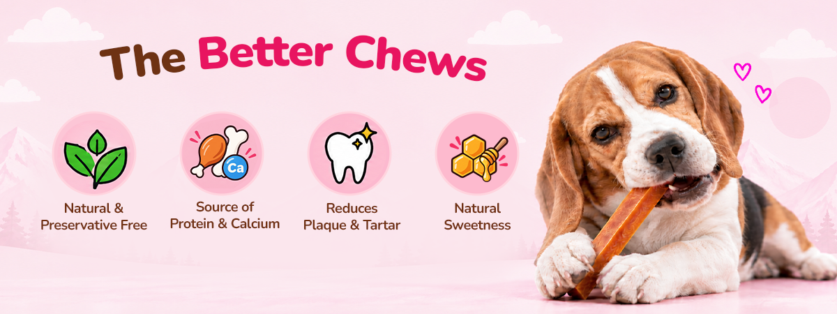 Applod Yak & Roll Honey Himalayan Cheese Long-Lasting Dog Chew