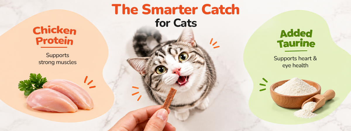 Applod Natural Chicken Shreds Grain-Free Soft Cat Treats (35g)