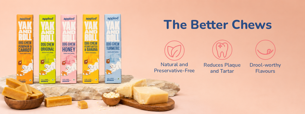 Applod Yak & Roll Combo of 5 Flavors Chew for Dogs