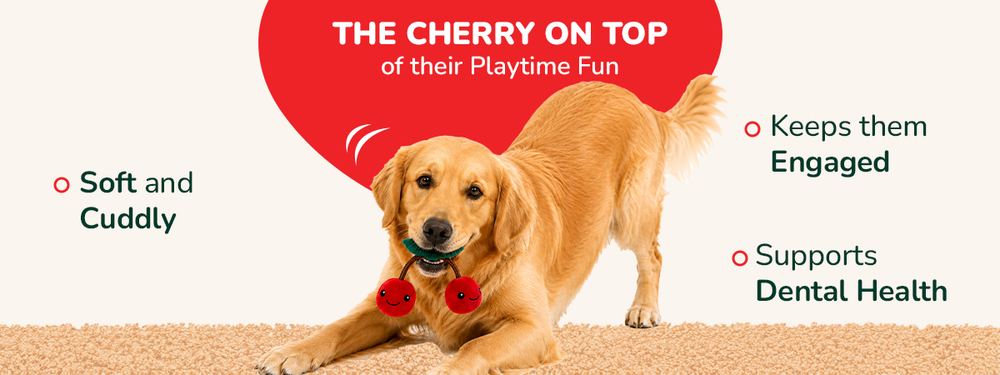 ZL Cherry Pop Rope Toy for Dogs