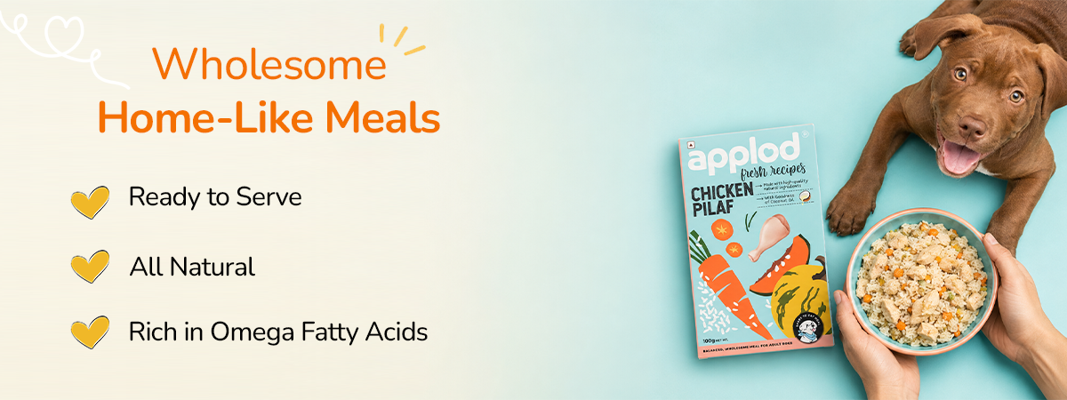 Applod Chicken Pilaf Fresh Dog Food for Adult Dogs