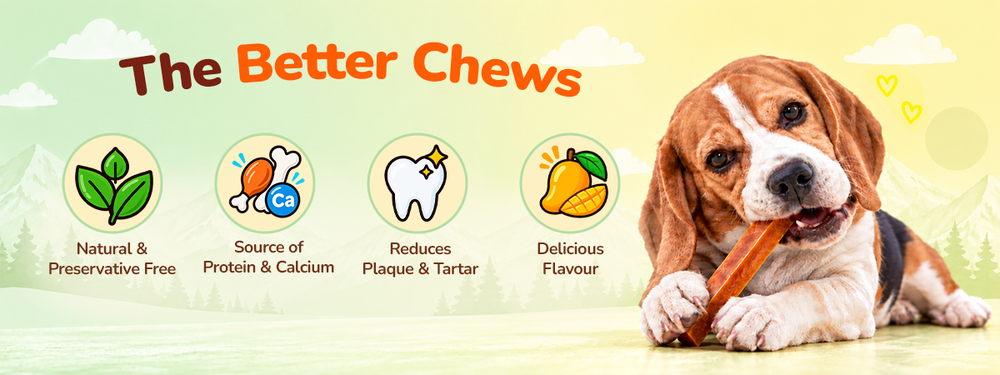 Applod Yak & Roll Mango & Himalayan Cheese Long-Lasting Dog Chew