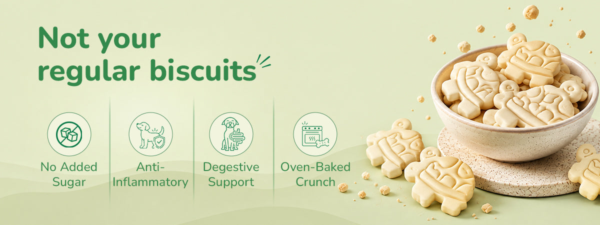 Applod Pumpkin Dog Biscuit with Turmeric