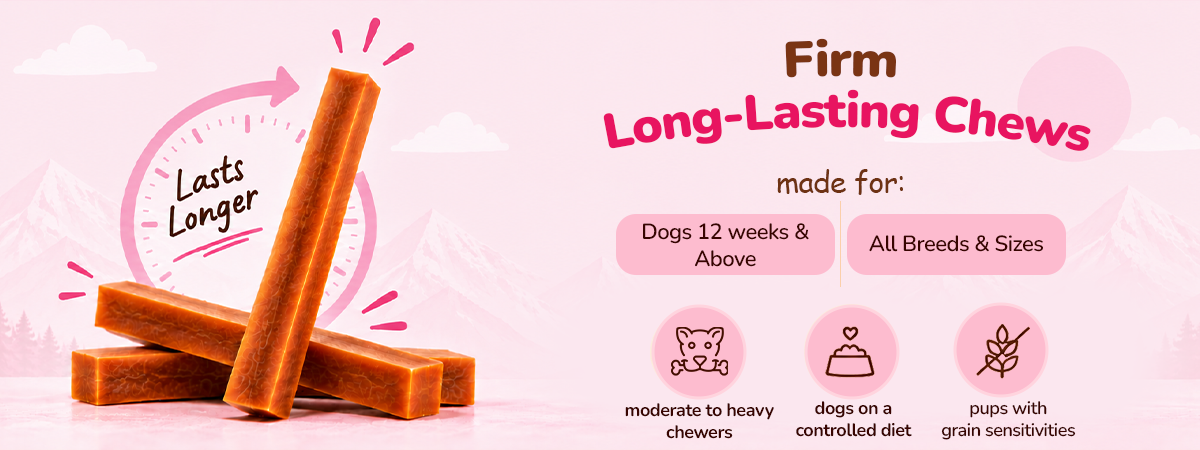 Applod Yak & Roll Honey Himalayan Cheese Long-Lasting Dog Chew