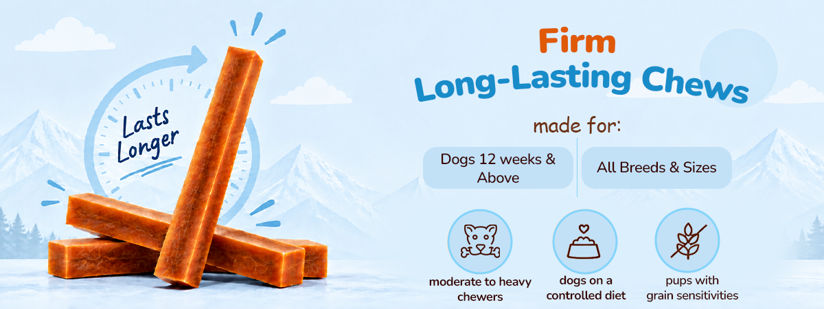 Applod Yak & Roll Turmeric Himalayan Cheese Long-Lasting Dog Chew