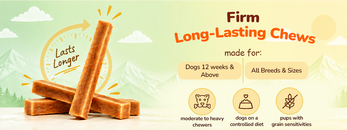 Applod Yak & Roll Mango & Himalayan Cheese Long-Lasting Dog Chew