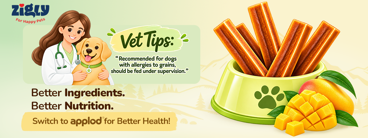 Applod Yak & Roll Mango & Himalayan Cheese Long-Lasting Dog Chew