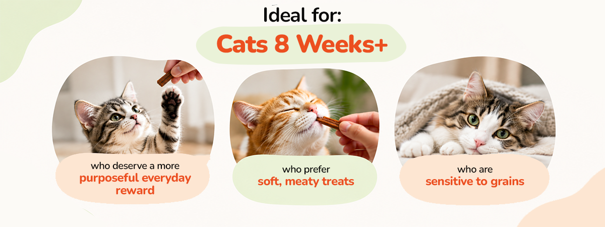 Applod Natural Chicken Shreds Grain-Free Soft Cat Treats (35g)