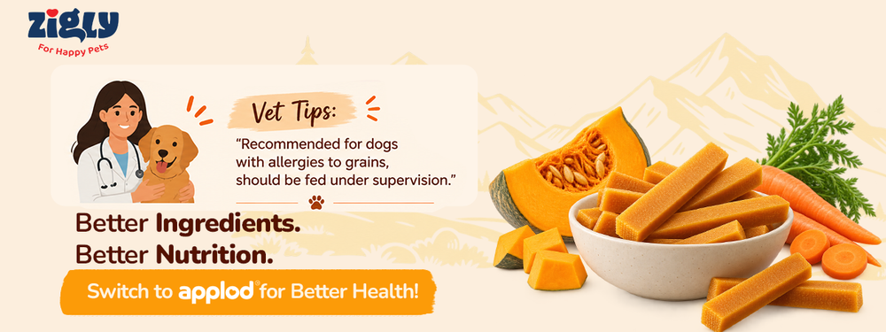 Applod Pumpkin & Carrot Yak Chew for Dogs