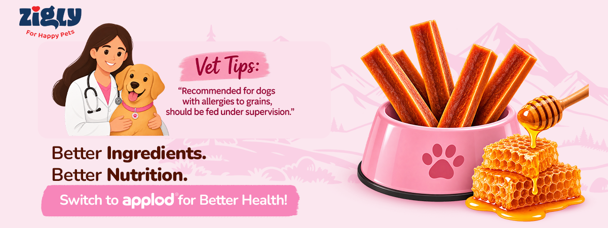 Applod Yak & Roll Honey Himalayan Cheese Long-Lasting Dog Chew