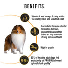 Dog food benefits with Shetland Sheepdog, healthy skin, coat, tartar control, high protein