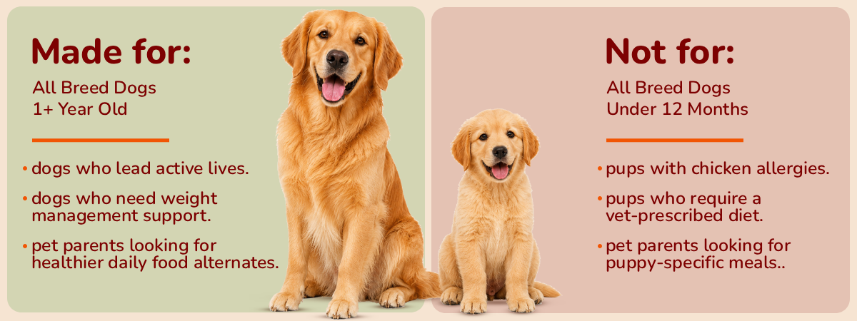 Applod Chicken & Vegetables with Apple & Pomegranate Dry Dog Food for Adult Dogs