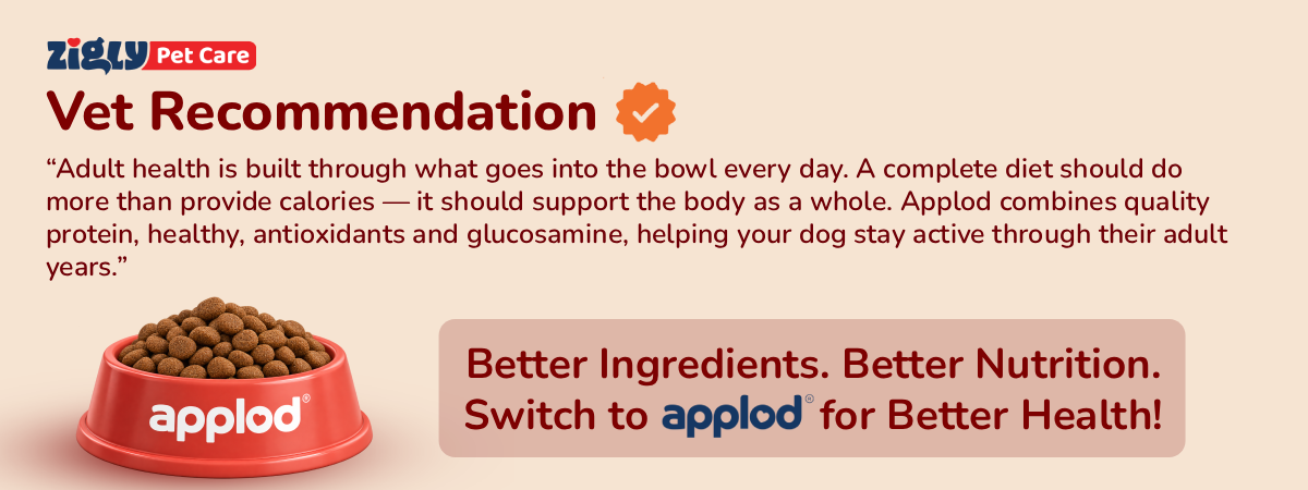 Applod Chicken & Vegetables with Apple & Pomegranate Dry Dog Food for Adult Dogs