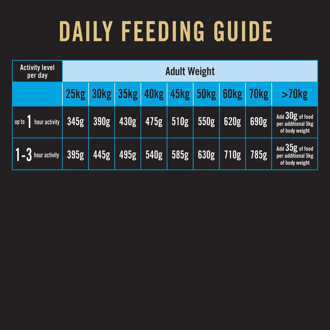 Dog daily feeding guide chart with activity levels and adult weight in kilograms and grams