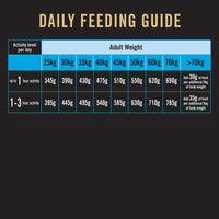 Dog daily feeding guide chart with activity levels and adult weight in kilograms and grams