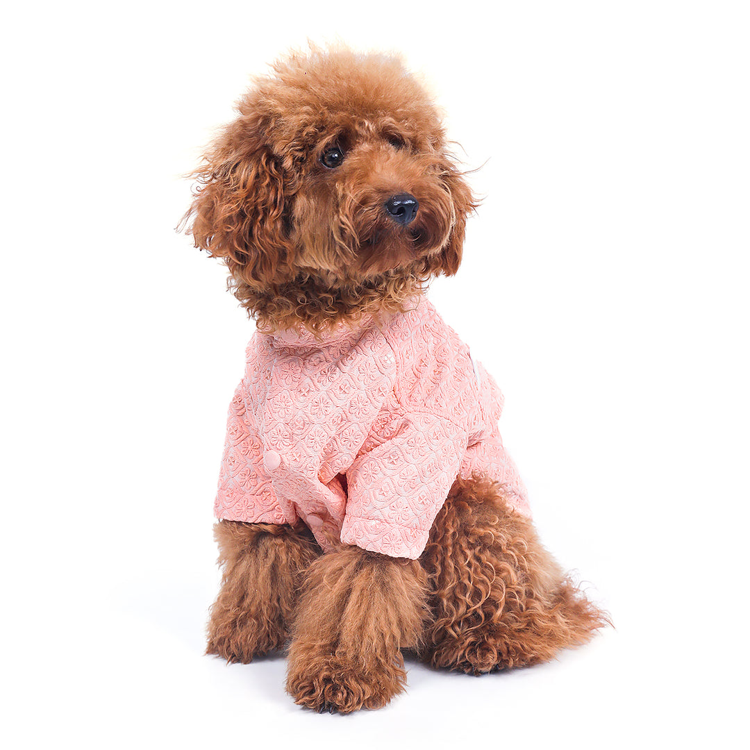 furries-peach-sherwani-for-dogs