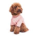 Zigly fluffy brown dog in a textured pink outfit sitting against a white background