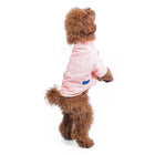 Brown poodle standing, wearing a pink Zigly dog shirt, isolated on white background