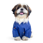 Shih Tzu dog wearing a blue Zigly shirt, sitting against a white background.