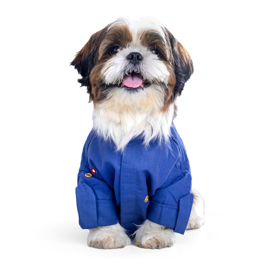 furries-mirror-work-persian-blue-kurta-for-dogs