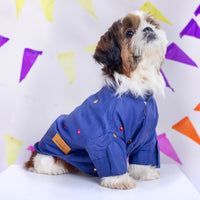 furries-mirror-work-persian-blue-kurta-for-dogs