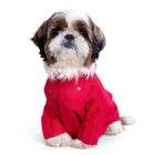 Small Shih Tzu dog in bright red jacket on white background