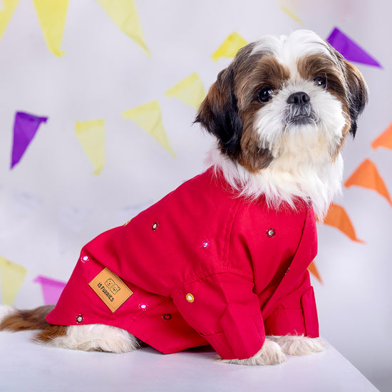 furries-mirror-work-electric-red-kurta-for-dogs