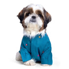 Adorable Shih Tzu dog wearing blue embroidered shirt, zigly pet fashion, white background