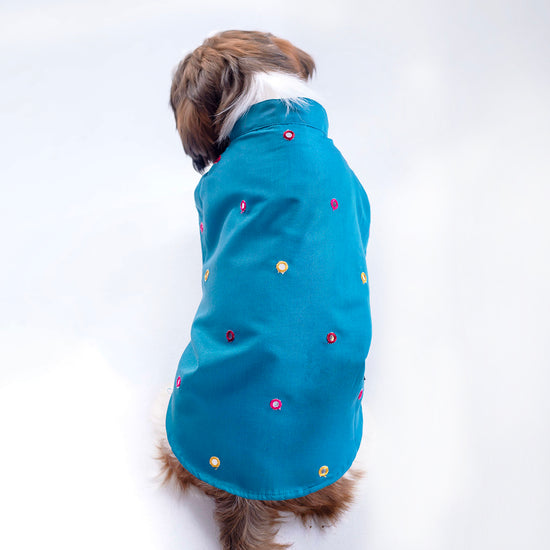 furries-mirror-work-teal-blue-kurta-for-dogs