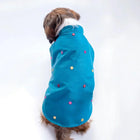 Small dog wearing blue zigly dog jacket with colorful polka dot embroidery
