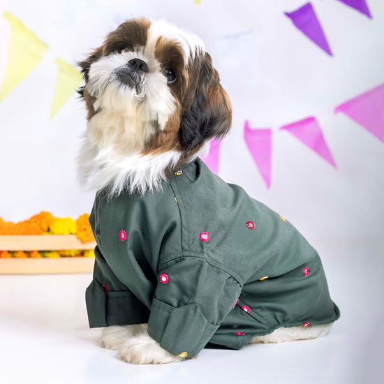 furries-mirror-work-green-kurta-for-dogs