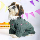 Cute Shih Tzu dog in green embroidered shirt, festive background, zigly pet fashion