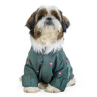 Shih Tzu dog in green printed shirt from Zigly, stylish pet clothing on white background