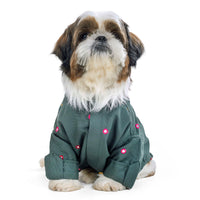 furries-mirror-work-green-kurta-for-dogs
