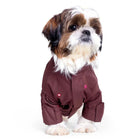 Shih Tzu dog wearing a brown jacket, zigly pet clothing on white background