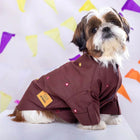 Zigly Shih Tzu dog in brown embroidered shirt with colorful kites in the background