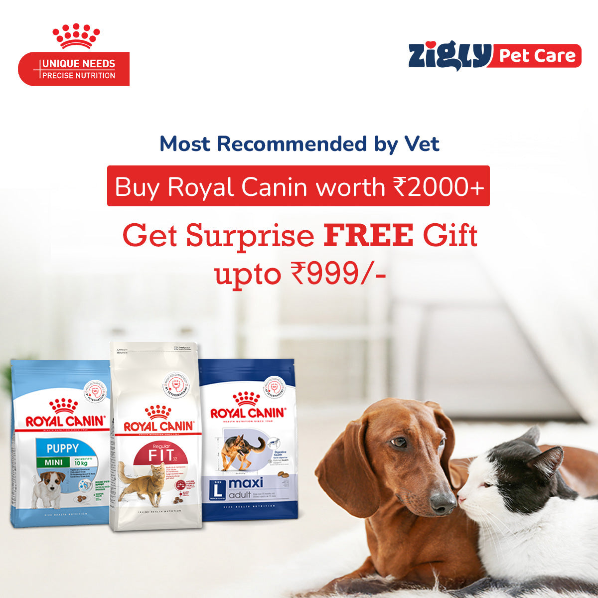 Royal Canin Veterinary Diet Renal Dry Dog Food