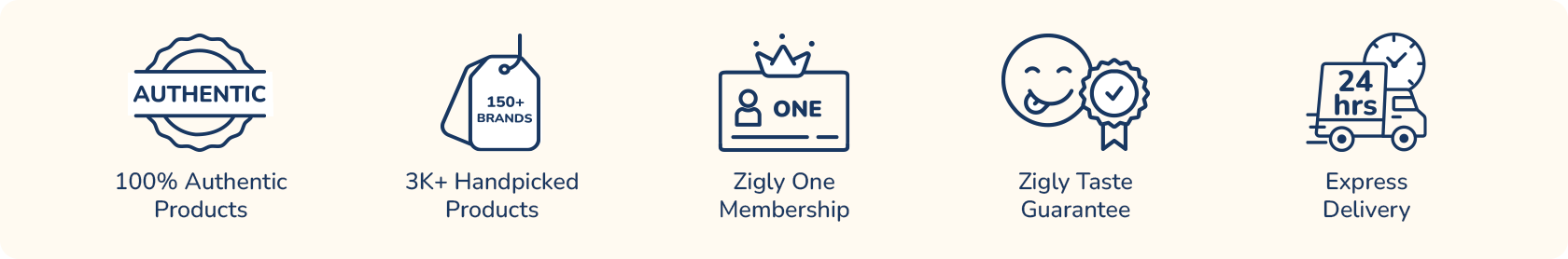 Set of icons representing various product features with text descriptions-Zigly USP