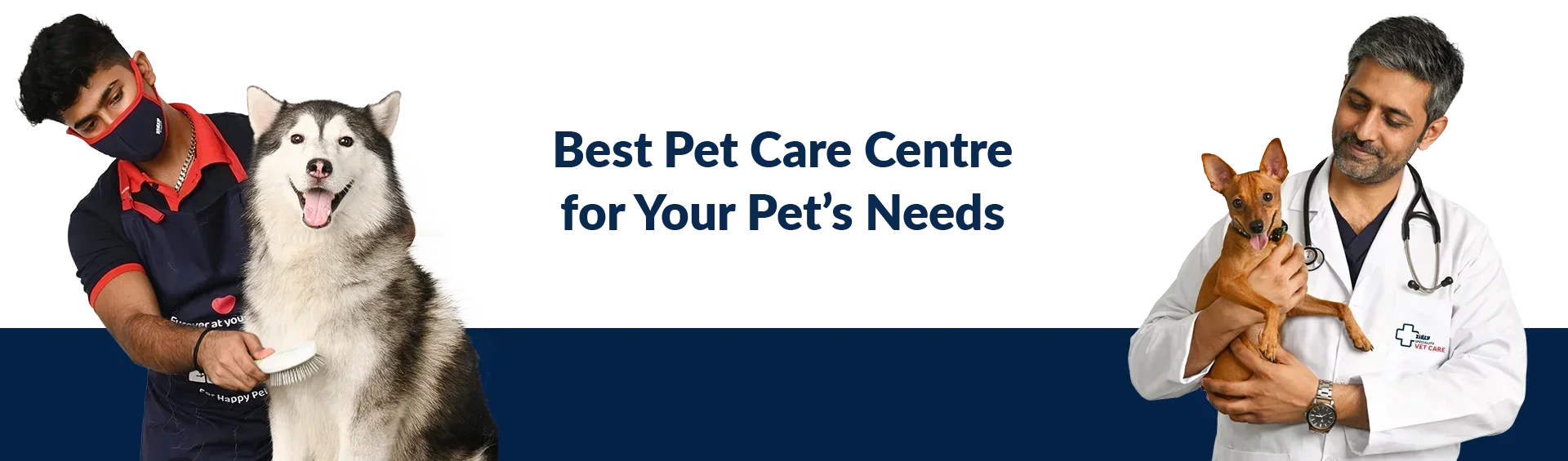 Zigly pet care centre with groomer brushing a husky and vet holding a small dog