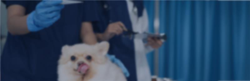 Trusted Care, Every Step of the Way