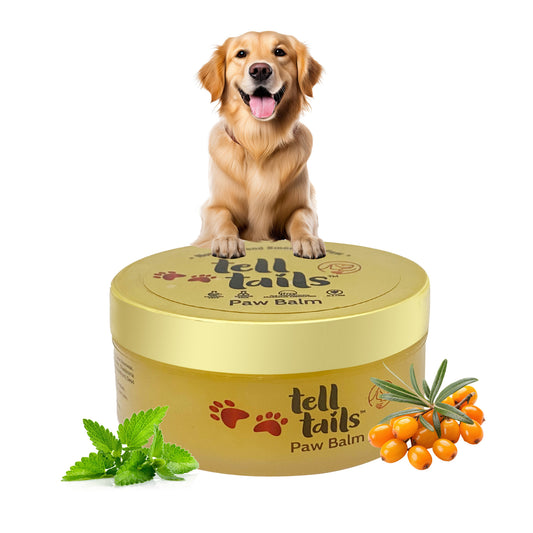 Tell Tails Paw Balm for dogs with a Golden Retriever and natural ingredients from zigly