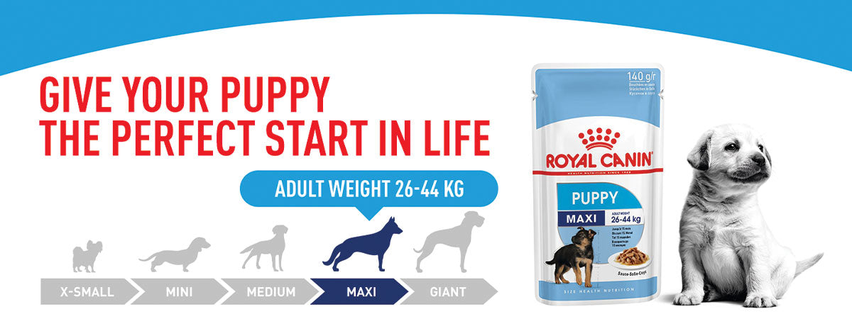 Royal Canin Maxi Puppy Wet Dog Food