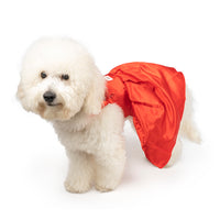 ZL Sassy Scarlet Frock Dog Dress