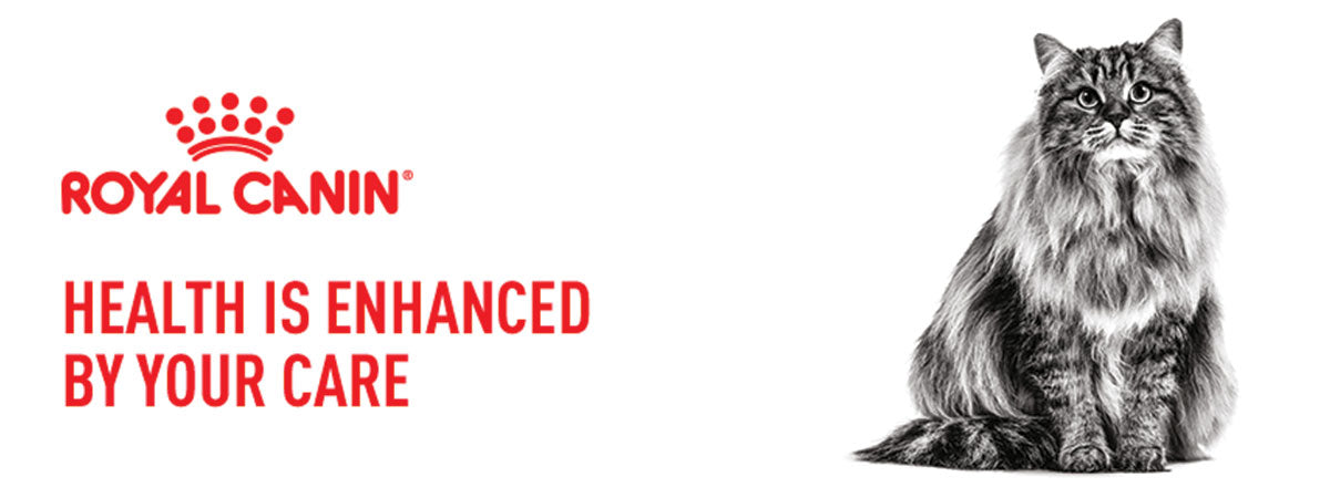 Royal Canin Hair & Skin Adult Wet Cat Food