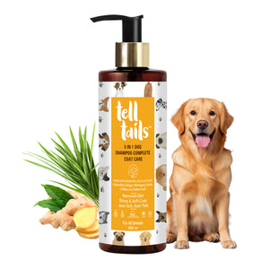 Tell Tails 5-in-1 Natural Dog Shampoo 250ml bottle with ginger and golden retriever on zigly